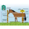 Raccord ruban-ruban