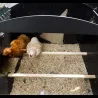 Poulailler surélevé en plastique recyclé 8 à 15 poules