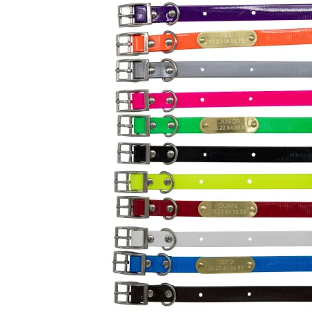 Collier Biogold petit chien et chiot gravé sur plaque