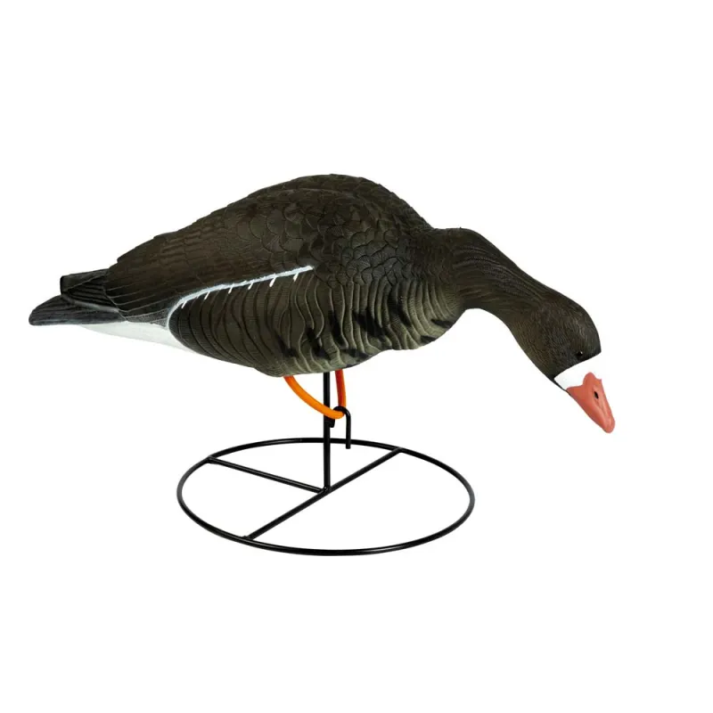 Appelant HD Oie rieuse sur pied feeder Stepland®