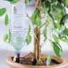 Arrosage goutte à goutte bouteille