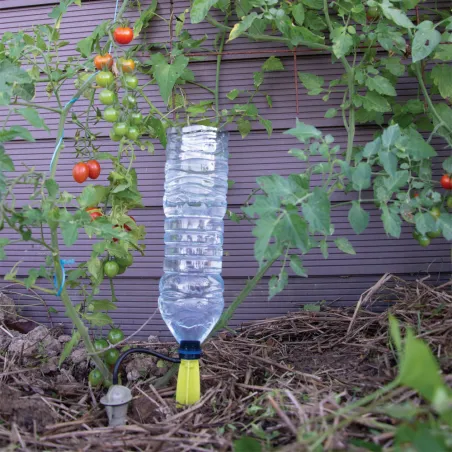 Arrosage goutte à goutte bouteille
