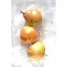 Sachets sous vide alimentaires 20 x 30 cm emballage sous vide (Lot de 50)