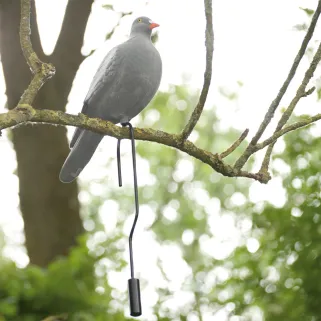 Contre-poids pour Appelant Pigeon