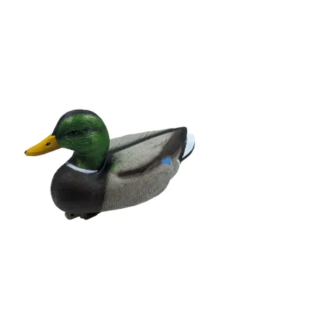 Appelant Colvert mâle HD