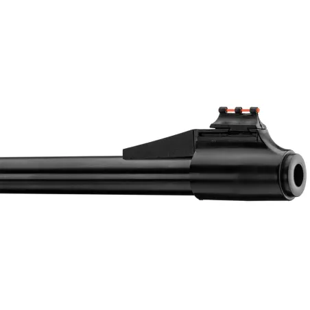 Carabine Gamo Big Cat 1000E + Lunette