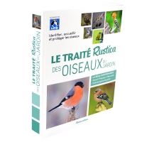 Nichoir à oiseaux et mangeoire à oiseaux mésanges - Ducatillon