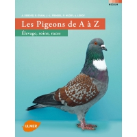 Pompe de gavage pour pigeon 100 ml