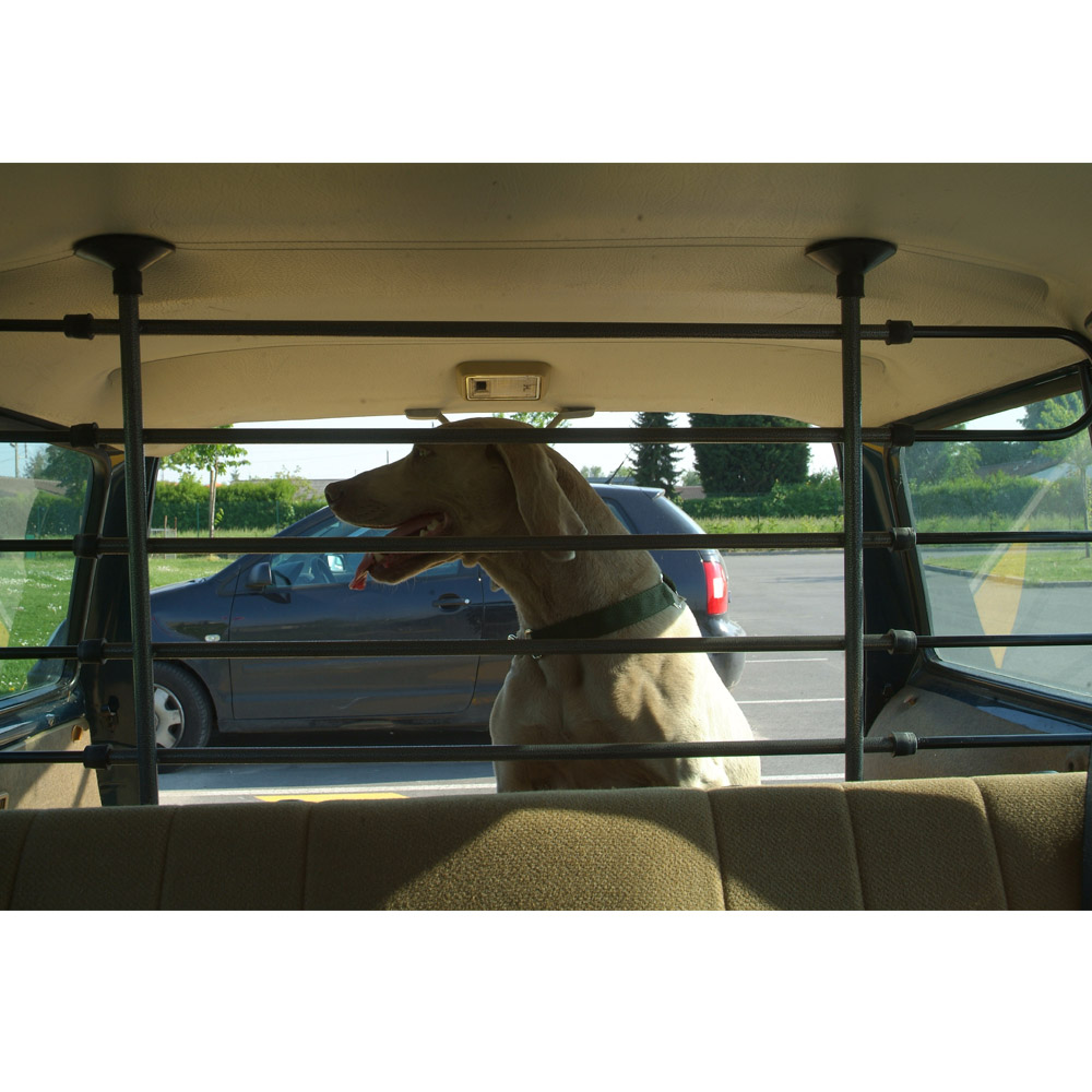 Acheter Filet de sécurité en maille pour siège arrière de voiture, barrière  pour chien et animal domestique, avec ceinture, décoration intérieure