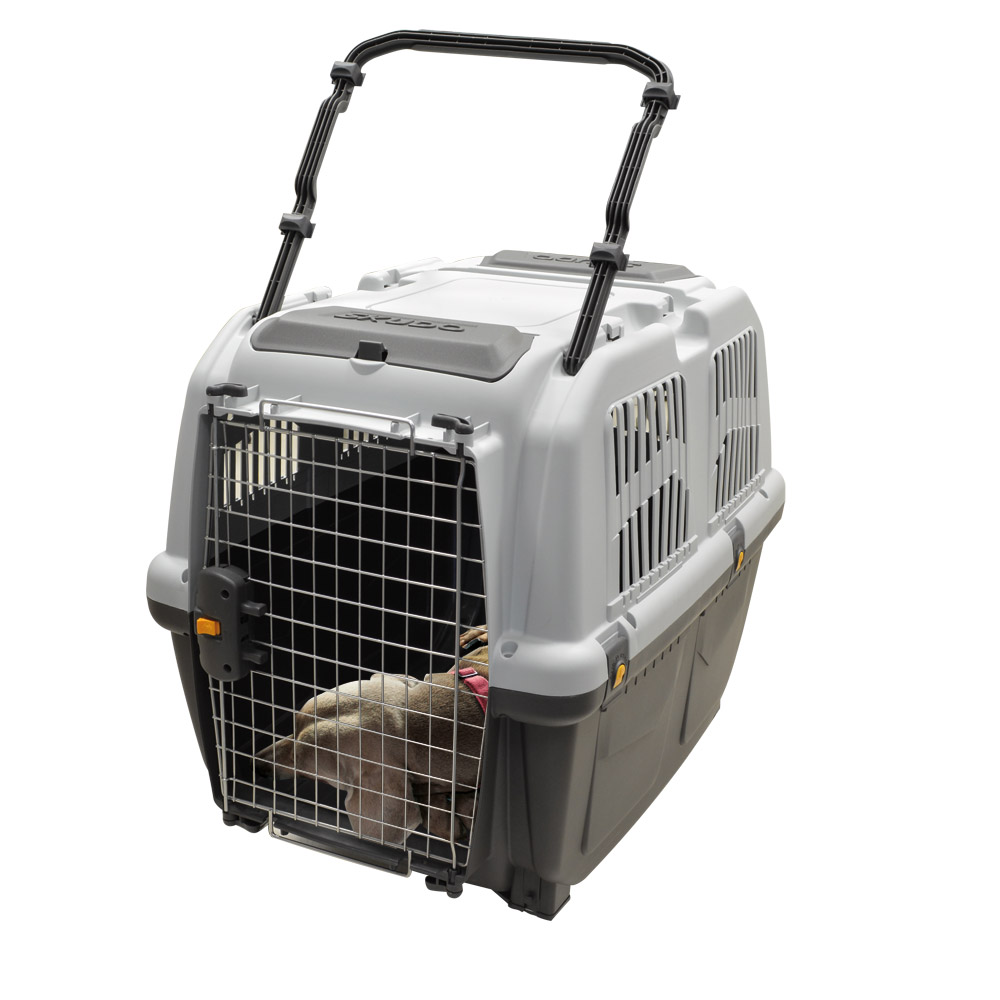 Caisse de transport rigide pour 1 chien taille L 81x55,5x58cm - Norme IATA  pour les clubs et collectivités