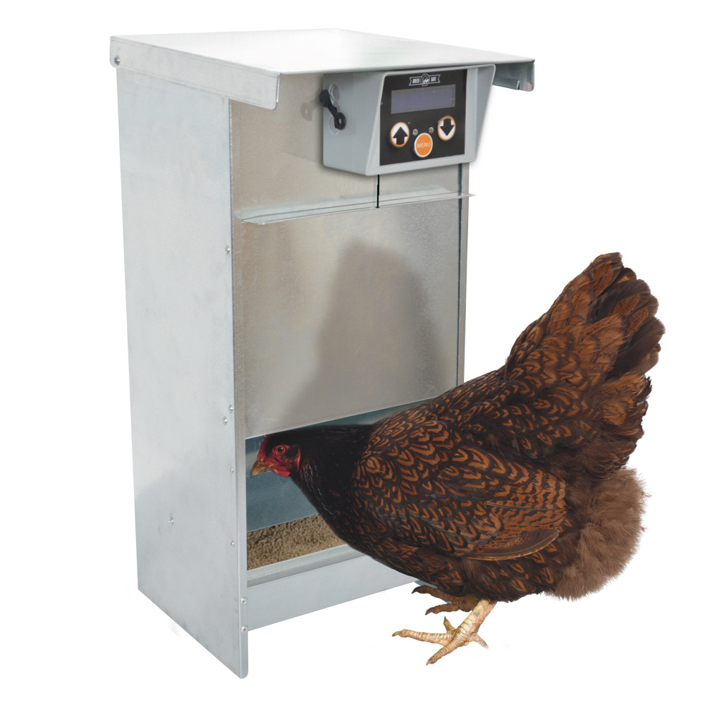 Mangeoire pour poules automatique & réglable | Anti-nuisibles | 20kg