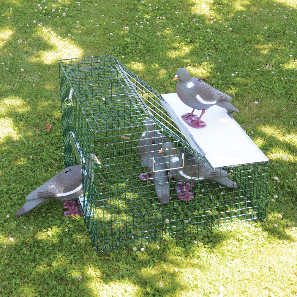 Piège à pigeons double entrée - Ducatillon